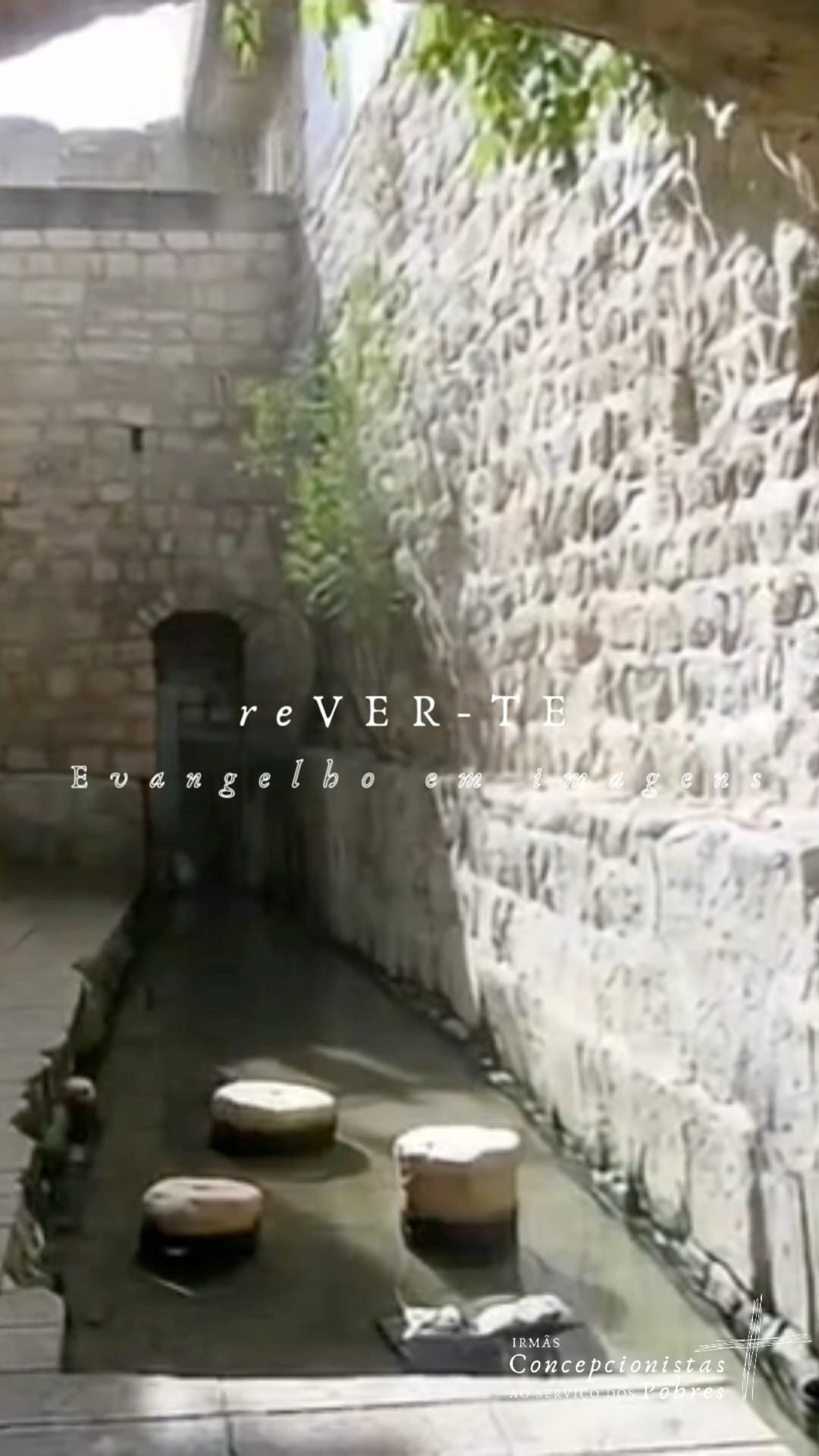 WhatsApp Image 2026-03-15 at 3.12