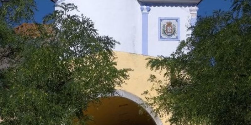 C_M_ELVAS C_M_ELVAS